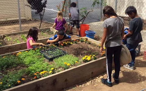 Farm to School & The Future of Food