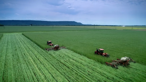 The Benefits of No-Till Planting