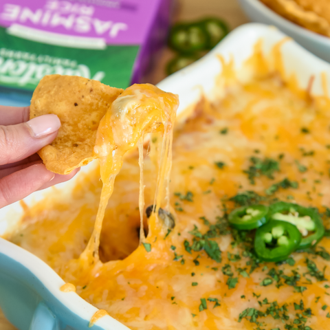 Cheesy Mexican Rice Dip Recipe