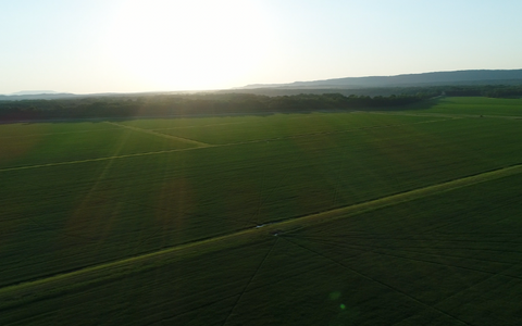 Celebrating Earth Day With Regenerative Farming