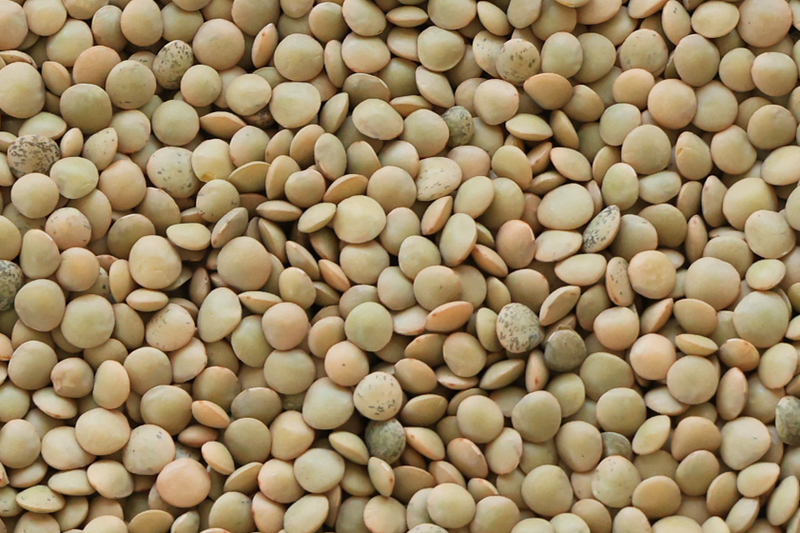 Green Lentils