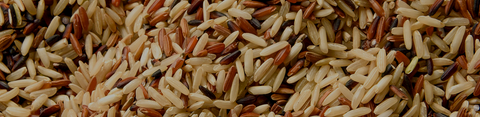 Shop Rice