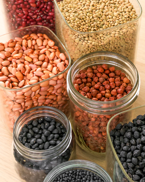 Bean Varietals