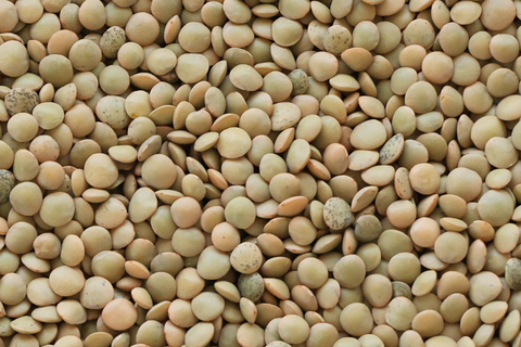 Green Lentils - 25lb Bucket