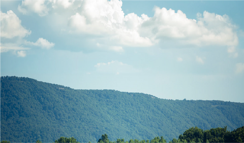 Hills with trees under a blue sky with white clouds