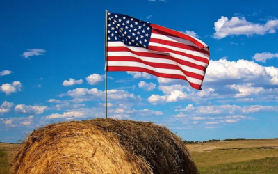 American flag with blue sky background in a field