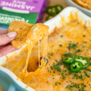 cheesy rice dip